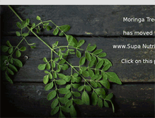 Tablet Screenshot of moringatree.co.za